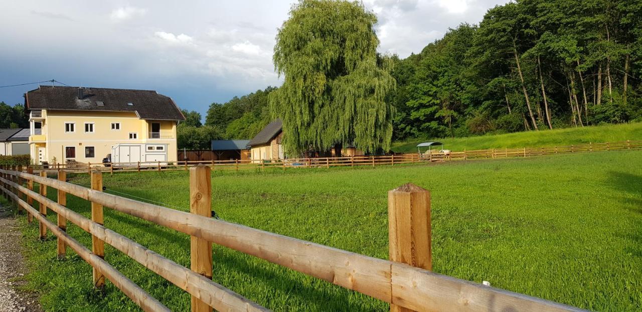 Apartament Haus Seidendorf Sankt Kanzian am Klopeiner See Zewnętrze zdjęcie
